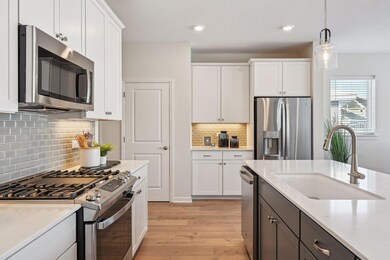 11640 Niagara Ln N, Maple Grove, MN 55369 - photo 4