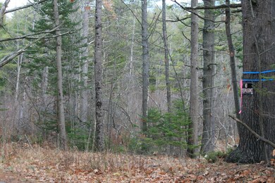 0 Webster Rd, Lisbon, ME 04250 - photo 7