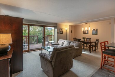 1227 Notchbrook Rd unit 28CS, Stowe, VT 05672 - photo 2