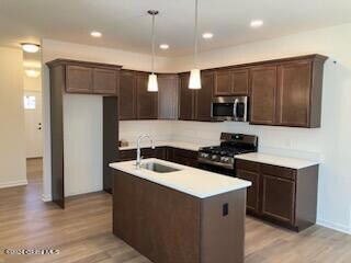 Cortland Kitchen pic*