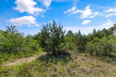 106 Valley View Ct, Springtown, TX 76082 - photo 6