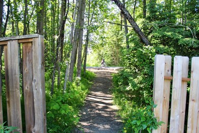 View of CC Trail from side yard path