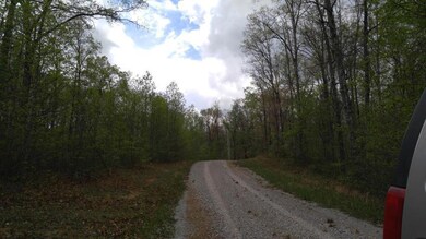 greenforest4