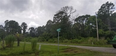 Palm Way at Spruce