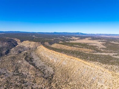 0 Nsn Forest Road 131 C unit 25747171, Tierra Amarilla, NM 87551 - photo 3