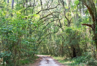 1304 Old Smokey, Crescent, GA 31304 - photo 3