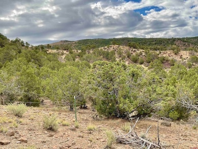 TBD Lot 22 7250 Rd, Montrose, CO 81403 - photo 7