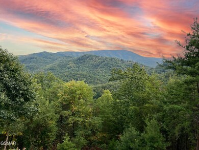 Mtn sunset