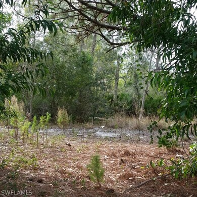 11911 Oakland Dr, Pine Island Center, FL 33922 - photo 5