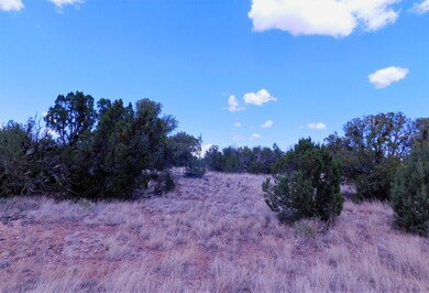 8336 Silver Creek Drive