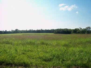 8 Mill Rd, Lebanon, TN 37090 - photo 3