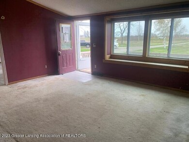 7901 E Carson City Rd, Carson City, MI 48811 - photo 5