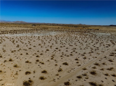 1142 Fran Lou Ln, Joshua Tree, CA 92252 - photo 3