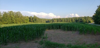 0 N Carolina 87 unit 60025, Pittsboro, NC 27312 - photo 3