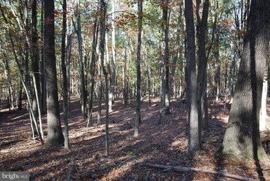 Lot 17 Gaither Rd, Great Cacapon, WV 25422 - photo 7