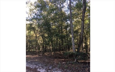 0 Sante fe Dr unit 96048, Fort White, FL 32038 - photo 3