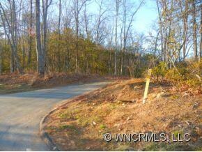 85 Smokey Ridge Trail unit 193, Arden, NC 28704 - photo 5