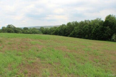 0 Saint Peters Rd unit Lot 4 497715, Andreas, PA 18211 - photo 6