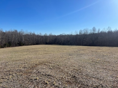 202 Ac. Chestnut Rd, Nathalie, VA 24577 - photo 3