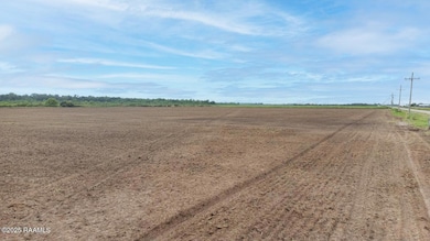 Tbd E Whitney St, Morse, LA 70559 - photo 4