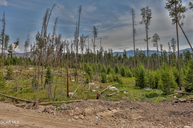 TBD Gcr 471 #3, Grand Lake, CO 80447 - photo 4