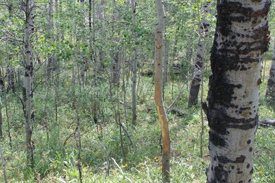 Tbd County Road 305, Kemmerer, WY 83101 - photo 7