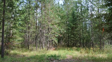 LOT 15 Hogan Way, Chewelah, WA 99109 - photo 7