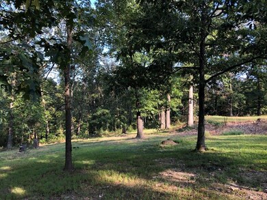 14770 Oak Hill Rd, Bella Vista, AR 72715 - photo 7
