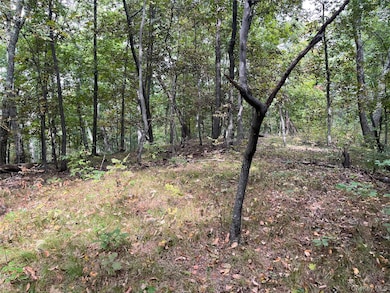 1154 Cold Spring Roa Cold Spring Rd, Clinton Corners, NY 12514 - photo 5