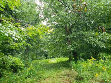 0 Brookline Rd unit 201828841, Ballston Spa, NY 12020 - photo 6