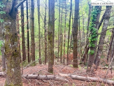 25 Davis Acres Dr, West Jefferson, NC 28694 - photo 3