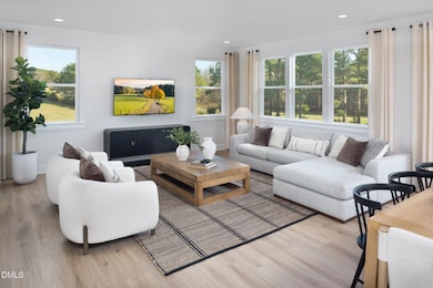 250 Thomas Store Dr, Broadway, NC 27505 - photo 4