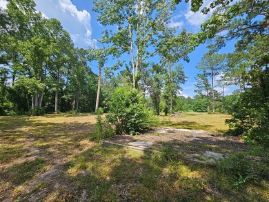 14 Jolly Roger Point, Carriere, MS 39426 - photo 3