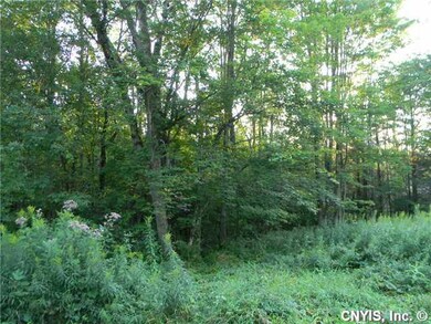 Yard/Garden woods behind cabin