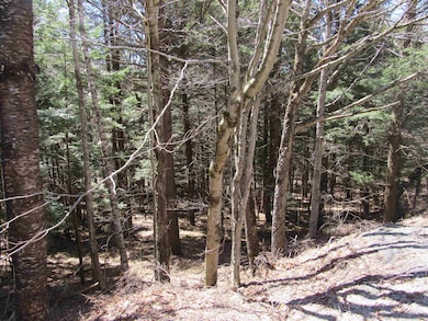 0 Stratton View Rd unit 26, Winhall, VT 05340 - photo 4