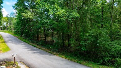 0 Pale Moon Dr unit 1564295, Pelzer, SC 29669 - photo 5