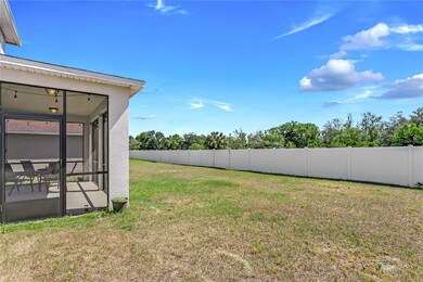 14324 Romeo Blvd, Wimauma, FL 33598 - photo 2