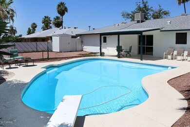 backyard-diving-pool