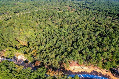 535 Rabbit Pen Dr, Appling, GA 30802 - photo 6