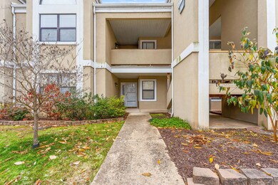 Ground Level, No Steps