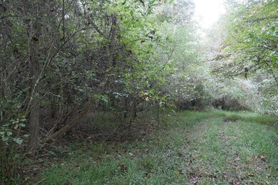 TBD Bryson Cove Rd, Abingdon, VA 24210 - photo 4