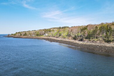 17-33WindsweptWay-OwlsHead