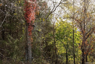 8 Cr 663, Oak Grove, AR 72660 - photo 5