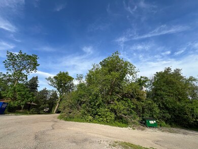 10401 Kenilworth Ave, Algonquin, IL 60102 - photo 5