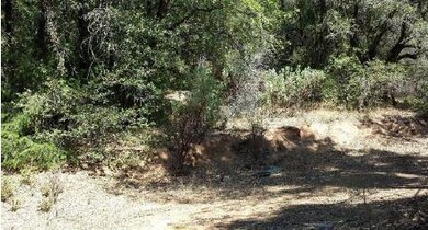 22550-22700 Far A Way, Colfax, CA 95713 - photo 6