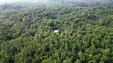 tbd County Highway 39, Osage, MN 56570 - photo 5