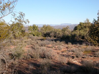 wonderful native vegetation