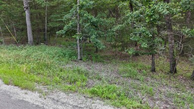 000 Bluebird Dr, Emerald Beach, MO 65658 - photo 7