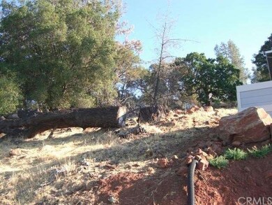 Tree to be taken out