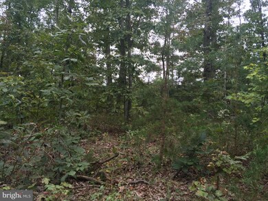 14720 Foremost Farm Ln, Spotsylvania, VA 22551 - photo 4